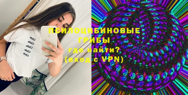 бошки Аркадак