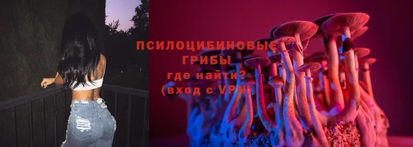 гидра Арсеньев