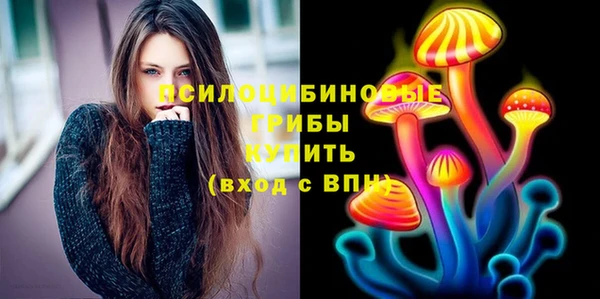 бошки Аркадак