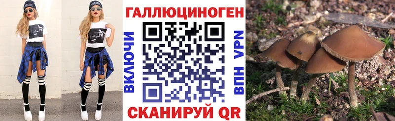 Галлюциногенные грибы Cubensis  blacksprut tor  Райчихинск 